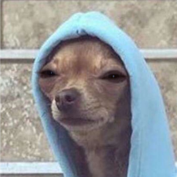 Meet your Posher, Hailey - Picture 1 of 1